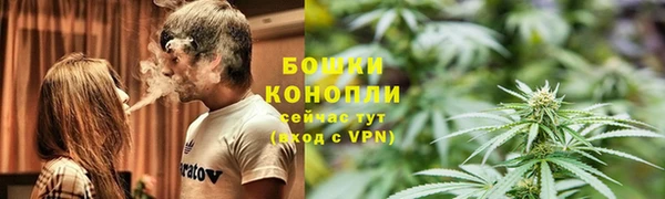 гидра Верхний Тагил