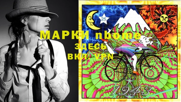 гидра Верхний Тагил