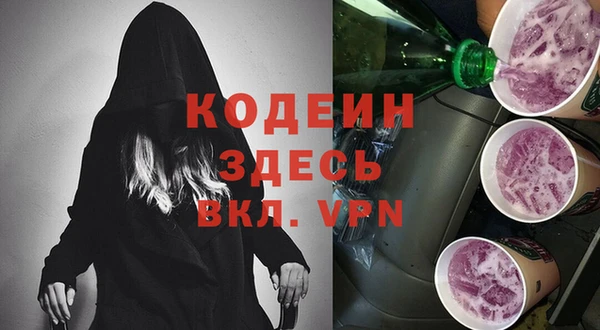 гидра Верхний Тагил