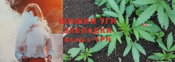 гидра Верхний Тагил