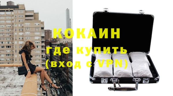 гидра Верхний Тагил